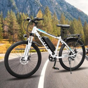 Regular Battery Ebike